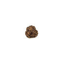 3 Faced Rudraksha