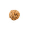 7 Mukhi Rudraksha