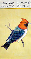 Bird Painting II - Water Color Painting