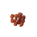 Two Mukhi Rudraksha Bead