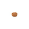 10 Mukhi Rudraksha Bead from Java