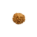 6 Mukhi Rudraksha Bead