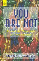 You Are Not: Beyond the Three Veils of Consciousness [Paperback] Stephen Wolinsky