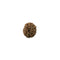 Java Rudraksha 12 Mukhi