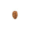 2 Faced Indonesian Rudraksha
