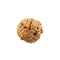 Seven Mukhi Rudraksha - Indonesian Bead