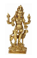 Indian Deity Bhairav