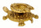 Brass Tortoise Diya Wick Lamp