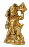 Lord Hanuman brings Sanjeevani Buti