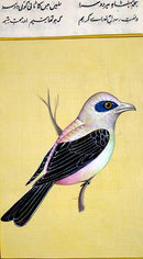 Sparrow-Miniature Painting