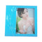 Lovely Blue Solid Acrylic Photo Frame