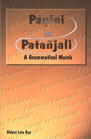 Panini to Patanjali [Hardcover] Ray, Bidyut Lata