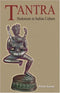 Tantra: Hedonism in Indian Culture [Hardcover] Saran, Prem