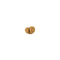 Gauri Shankar Rudraksha Bead