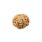 Nine Faced Rudraksha