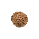 11 Faced Rudraksha Bead