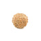 Seven Mukhi Rudraksha