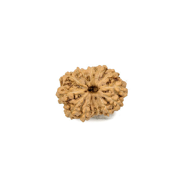 Twelve Faced Java Bead