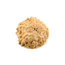 Rudraksha 7 Mukhi (Face) Bead