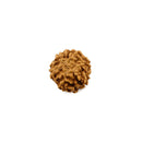 6 Mukhi Rudraksha Bead