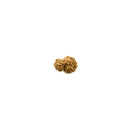 Gauri Shankar Rudraksha Bead