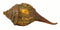 Auspicious Om Ganesha Brass Conch