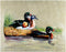 Exotic Ducks - Silk Painting