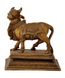Lord Shiva's Mount 'Nandi' - Brass Statue