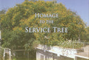 Homage to the Service Tree: Recollections, Poems, Paintings and Photographs in Homage to the Service Tree beside the Samadhi of Sri Aurobindo and the Mother [Hardcover] Essays by various authors