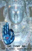 Tat Tvam Asi (Notes on Chandogya Upanishad, Chapter Six): Text, Transliteration, Word-to-Word Meaning and Detailed Commentary [Paperback] Swami Vimalananda