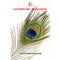 Chatushloki Bhagwat [Paperback] Swami Tejomayananda