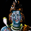 Shri Kailasheshwar Shiva - Velvet Painting 26"
