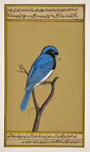 Miniature Painting 'Blue Bird'