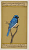 Miniature Painting 'Blue Bird'