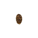 2 Mukhi (Java) Rudraksha Bead