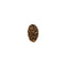 2 Mukhi (Java) Rudraksha Bead