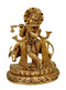 The Saviour of Dharma - Lord Gopala
