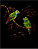 The Parrot - Velvet Painting