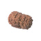 11 Mukhi Rudraksha Bead ofJava