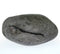 Sacred Shaligram Stone for Puja