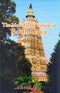 The Mahabodhi Temple at Bodh Gaya [Hardcover] Ryojun Sato