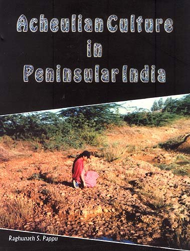 Acheulion Culture in Peninsular India: An Ecological Perspective [Hardcover] Ragunath Pappu