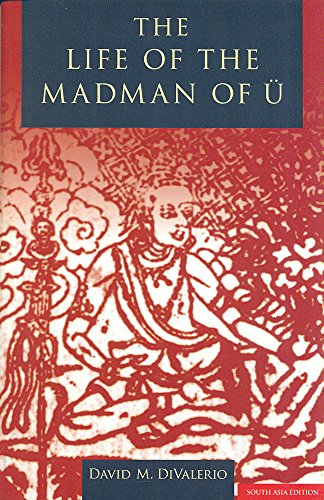 The Life of the Madman of U [Paperback] David M. Divalerio