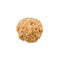 Seven Mukhi Rudraksha (Java Bead)