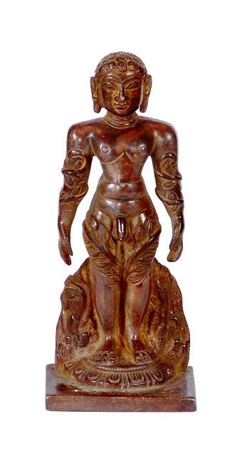 Mahaveer Swami-Jain Idol