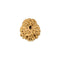 Twelve Faced Rudraksha Bead