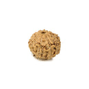 9 Mukhi Rudraksha