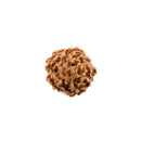 6 Mukhi Rudraksha (Java)