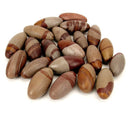 Shiva Lingams - Assorted (Lot of 12 Lingams) 2"