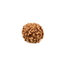 6 Mukhi Rudraksha (Java)